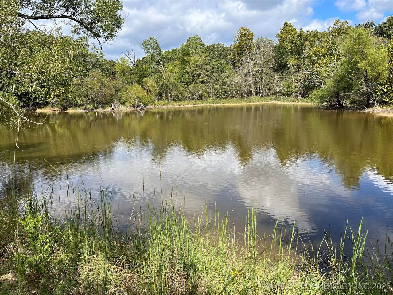  County Road 3647 Road - Photo 1