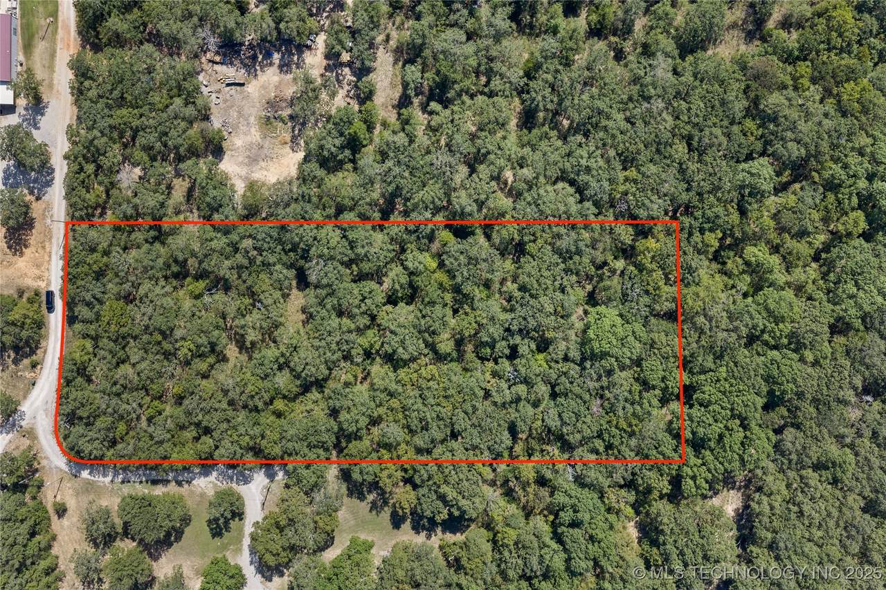 0000 White Tail Lane - Photo 1