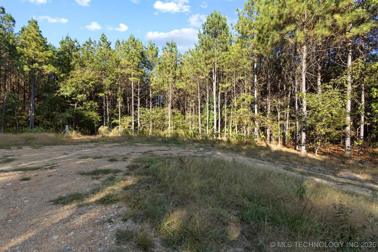 134 Wolf Tree Trail - Photo 1
