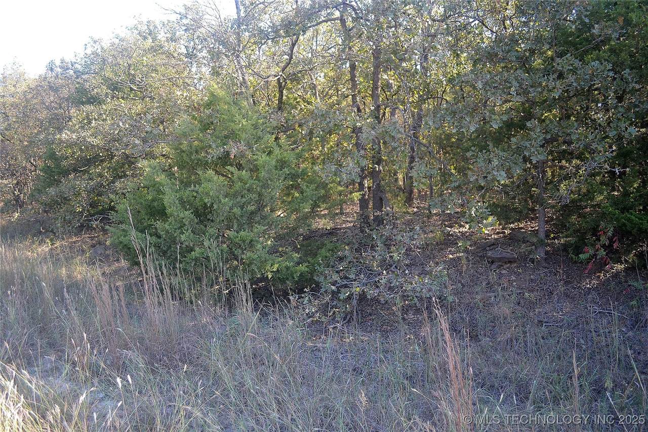 0001 Frontier Trail - Photo 1