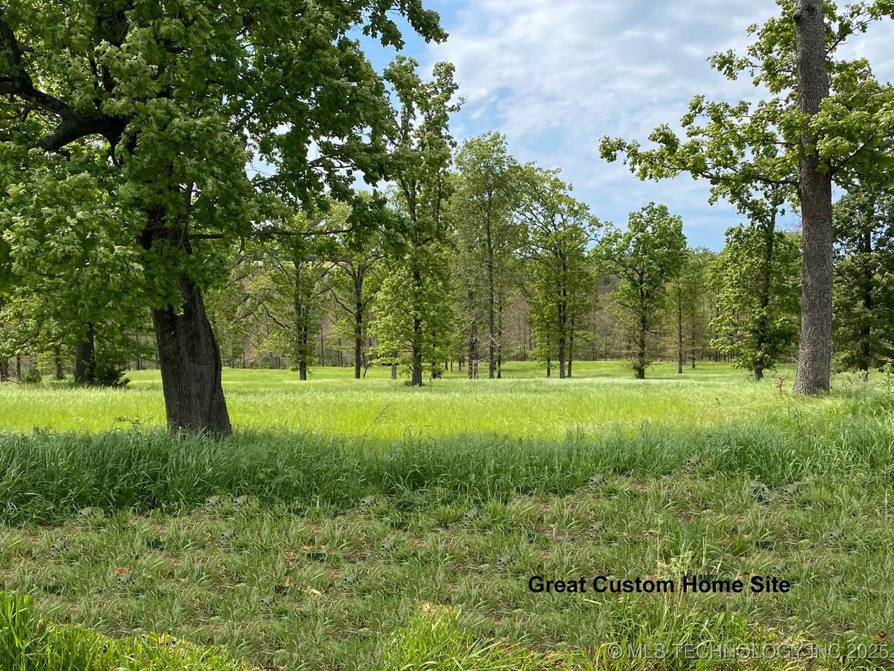 778 Ridgeview Drive - Photo 1