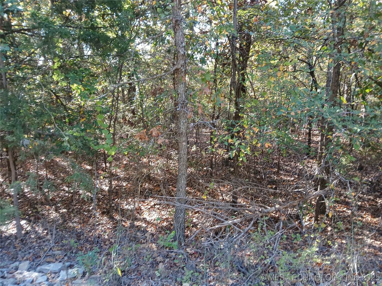  Sunset Drive - Photo 1