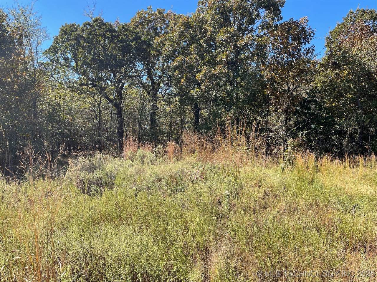  Country Road 3620 - Photo 1