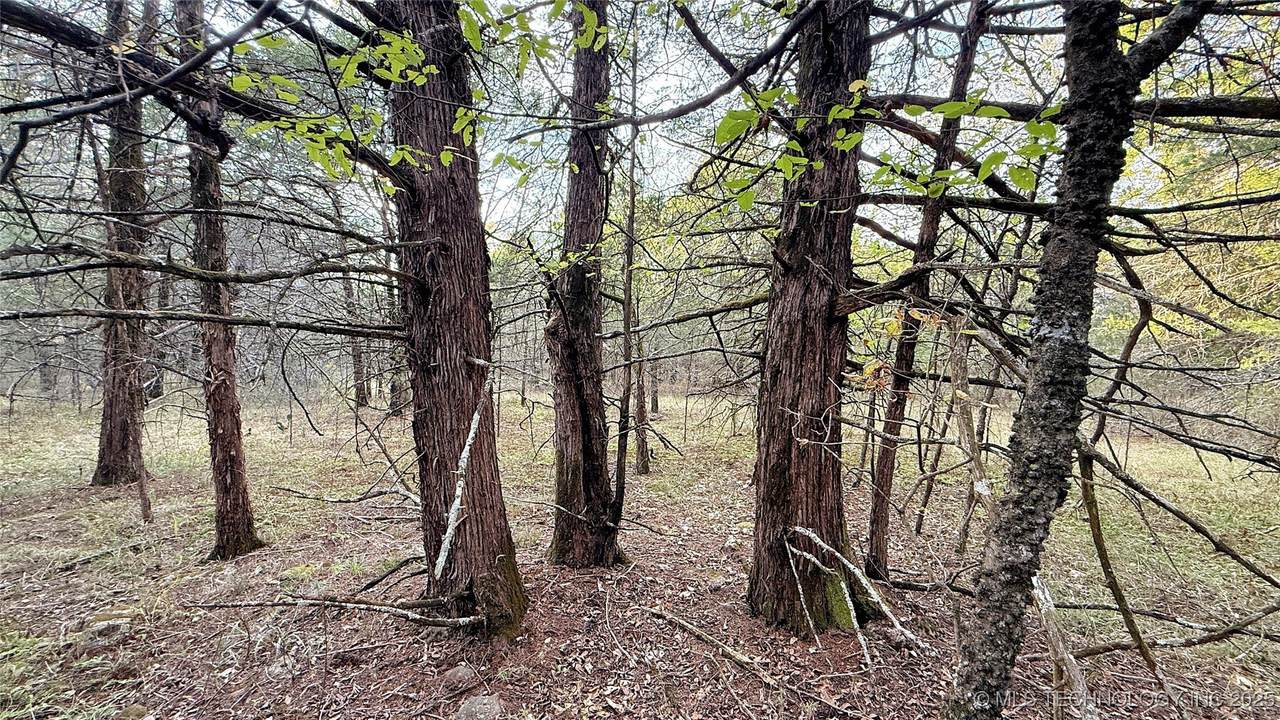 30000 Hummingbird Lane - Photo 1