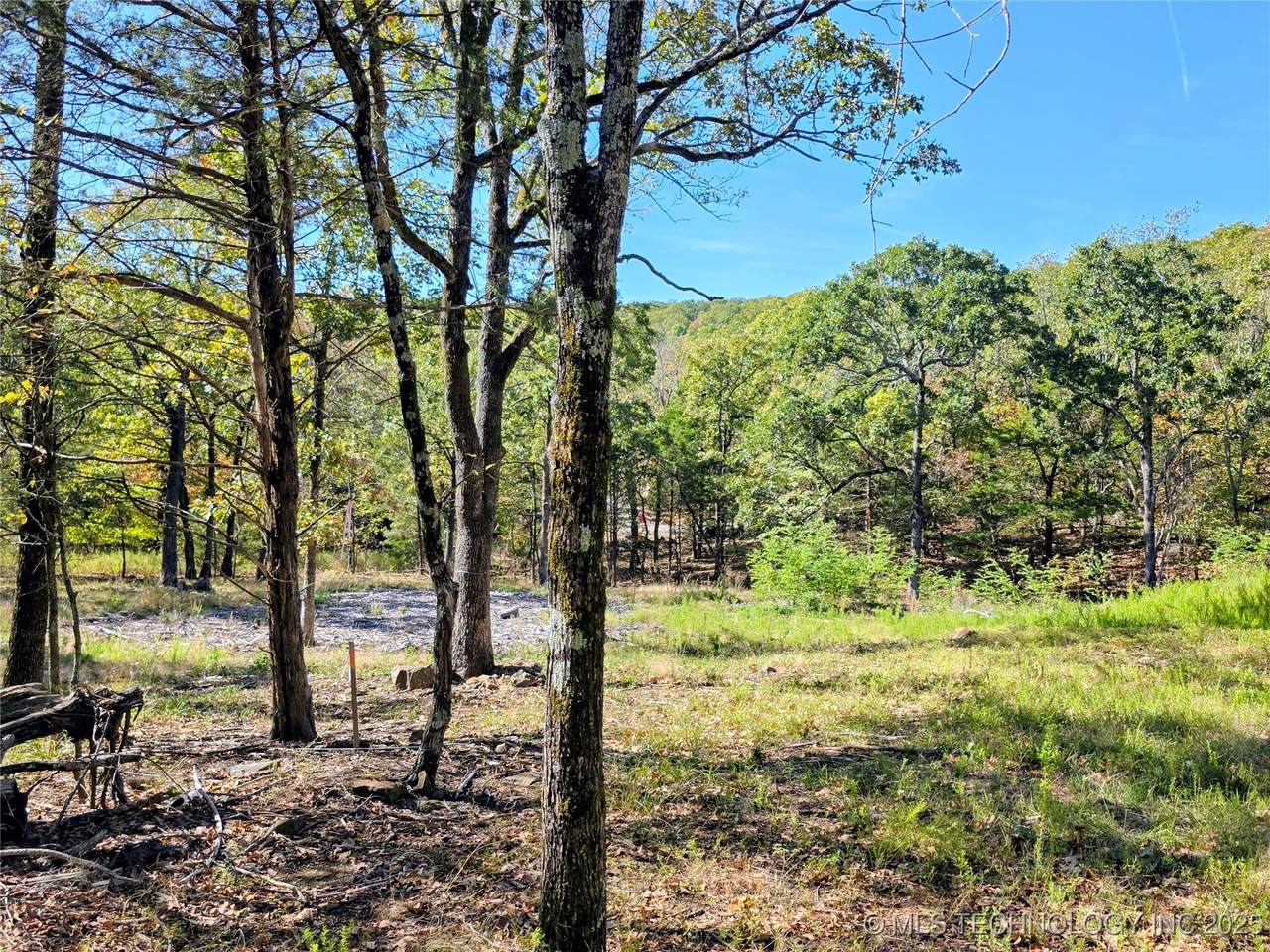  Mason Oaks - Photo 1