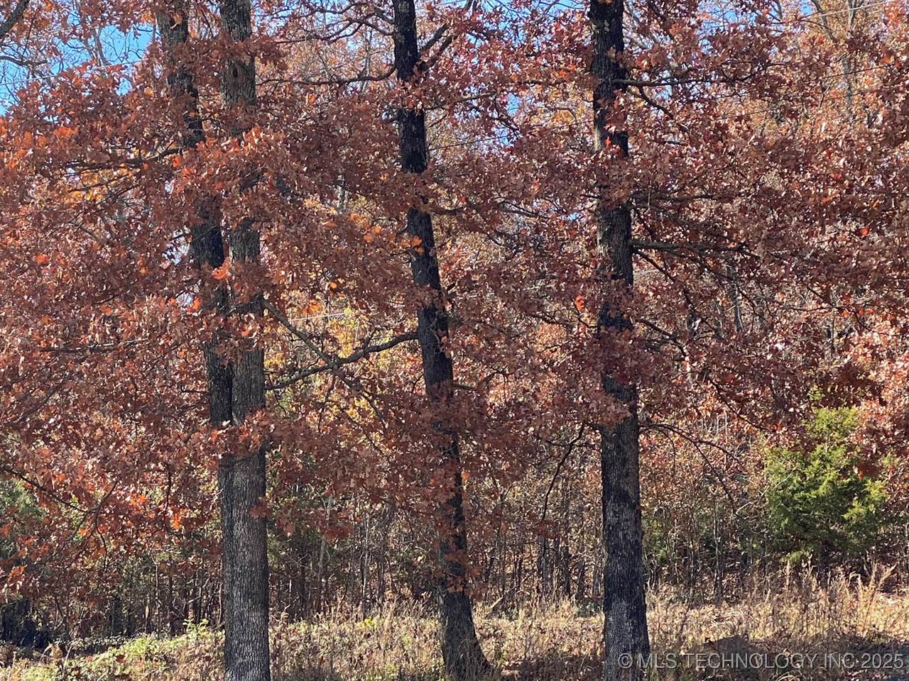 704 Woodlands Drive - Photo 1