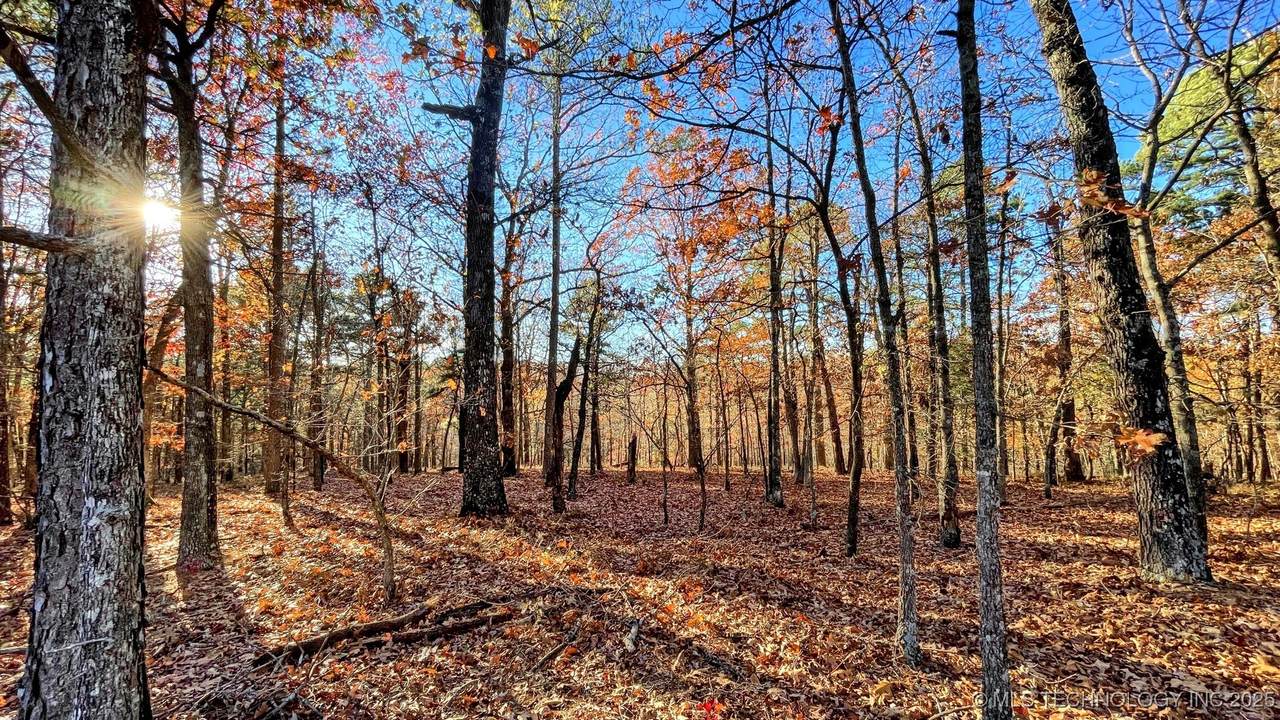 14 Big Bear Road - Photo 1