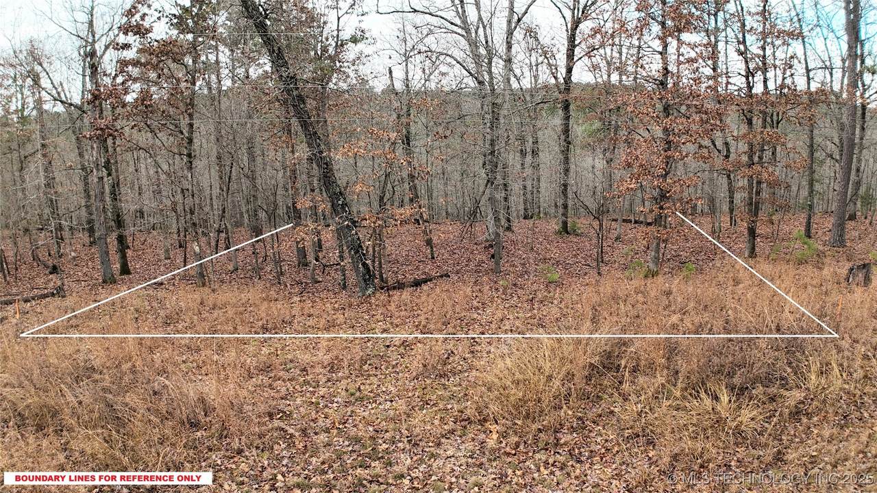 1536 Cherokee Ridge Trail - Photo 1