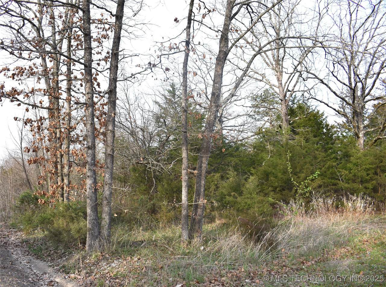 1 Sweet Gum Drive - Photo 1