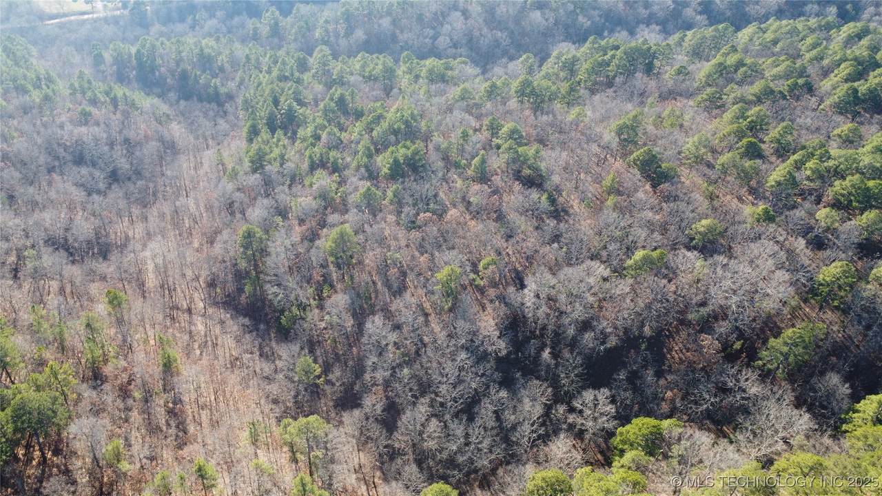 000 495 Road - Photo 1