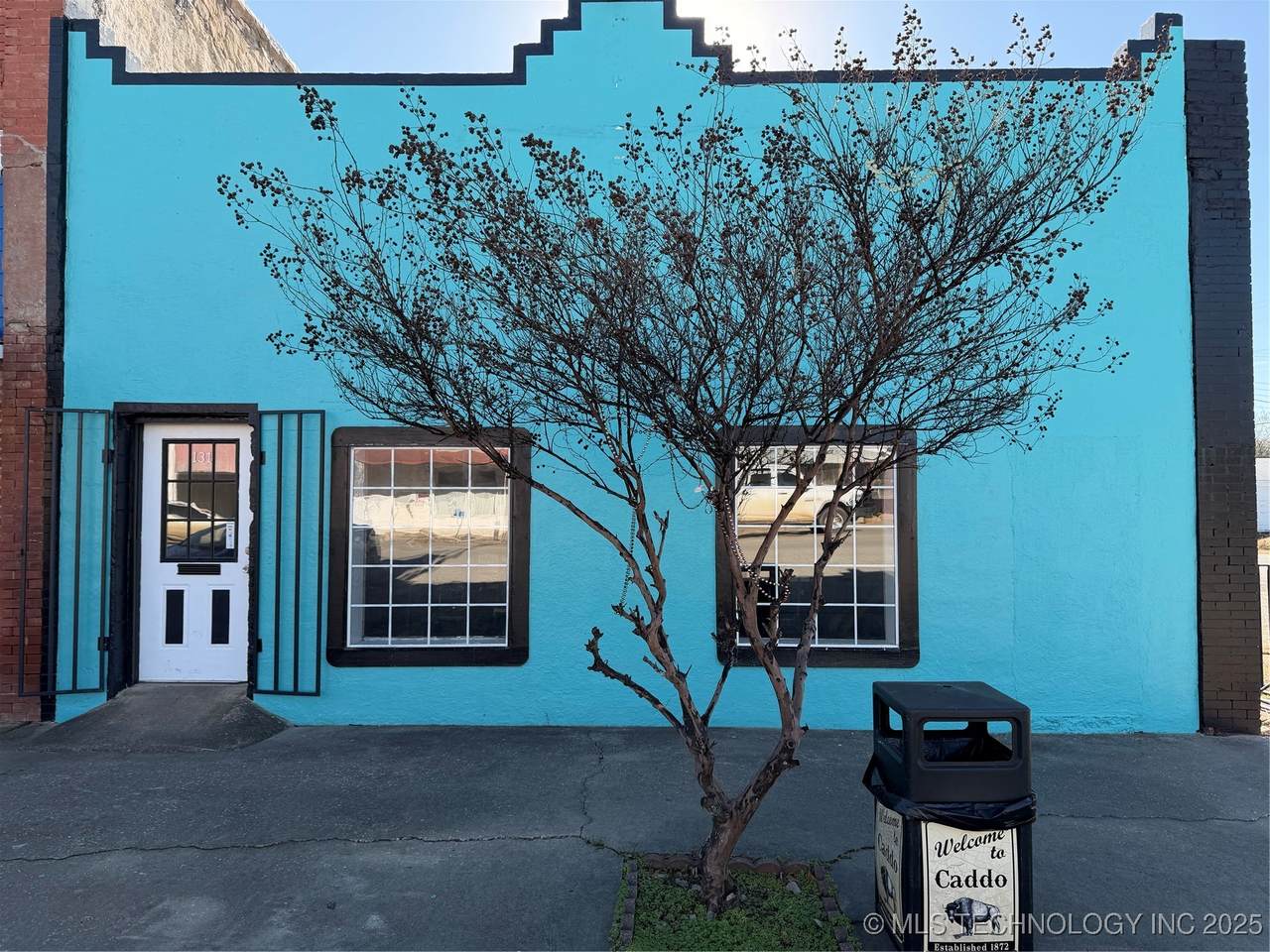 131 Buffalo - Photo 1