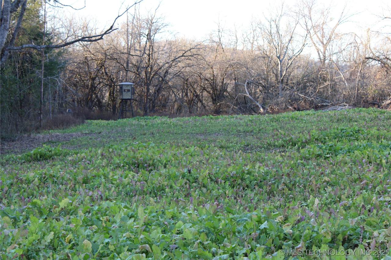 0001 4659 Road - Photo 1