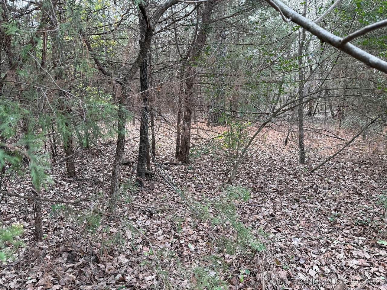  103rd Street North - Photo 1