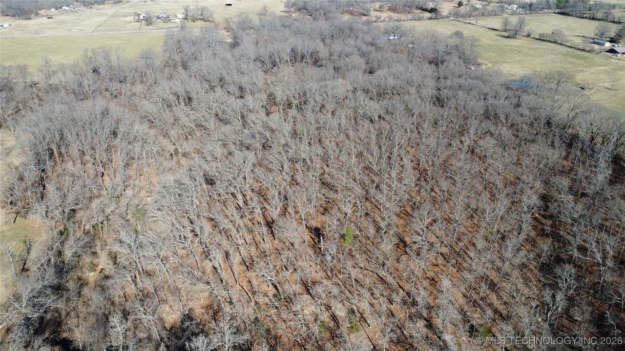 29855 585 Road - Photo 1