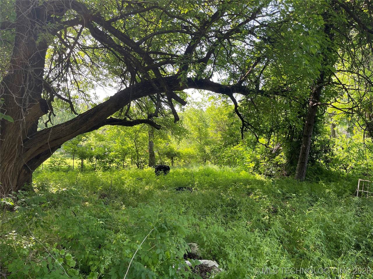 68 Ivy Lane - Photo 1