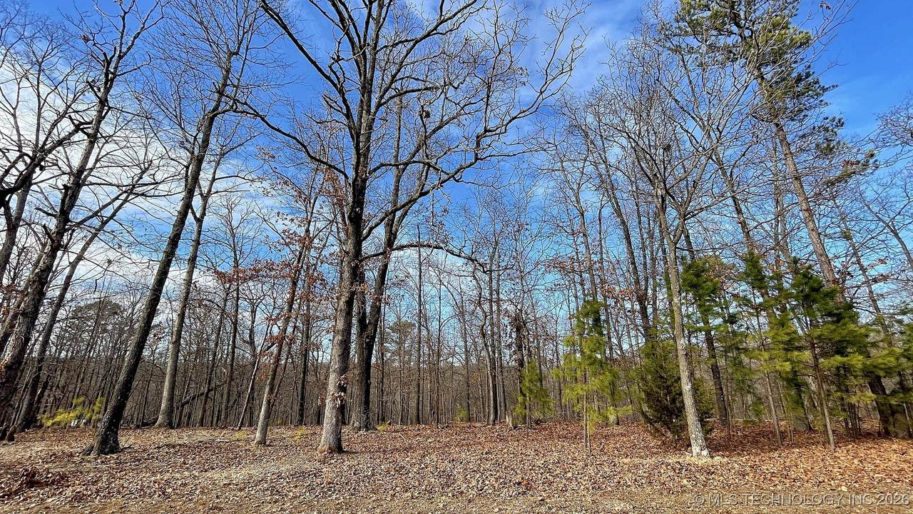 2145 Deer Lake Drive - Photo 1