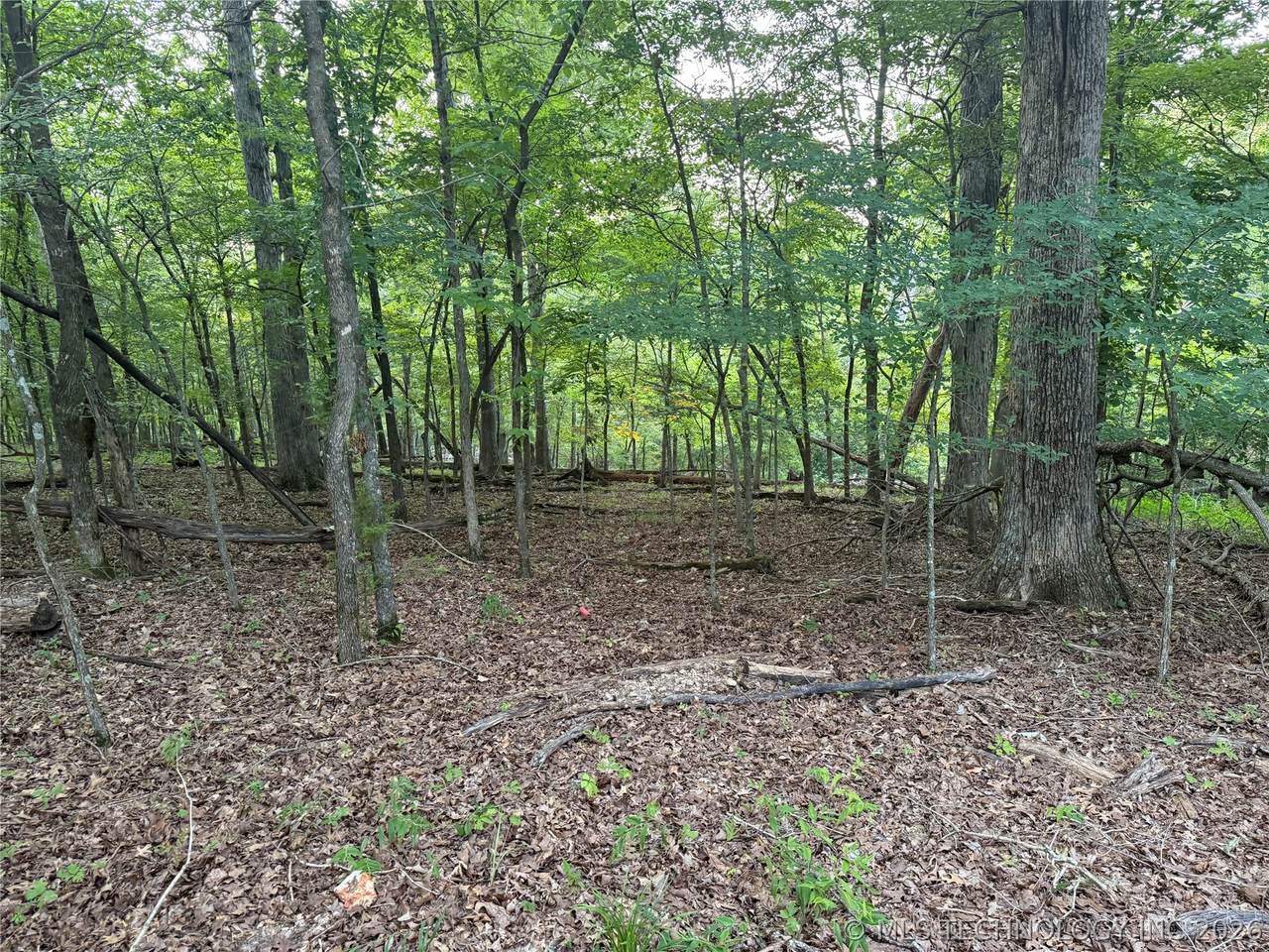 101 Flint Ridge Drive - Photo 1