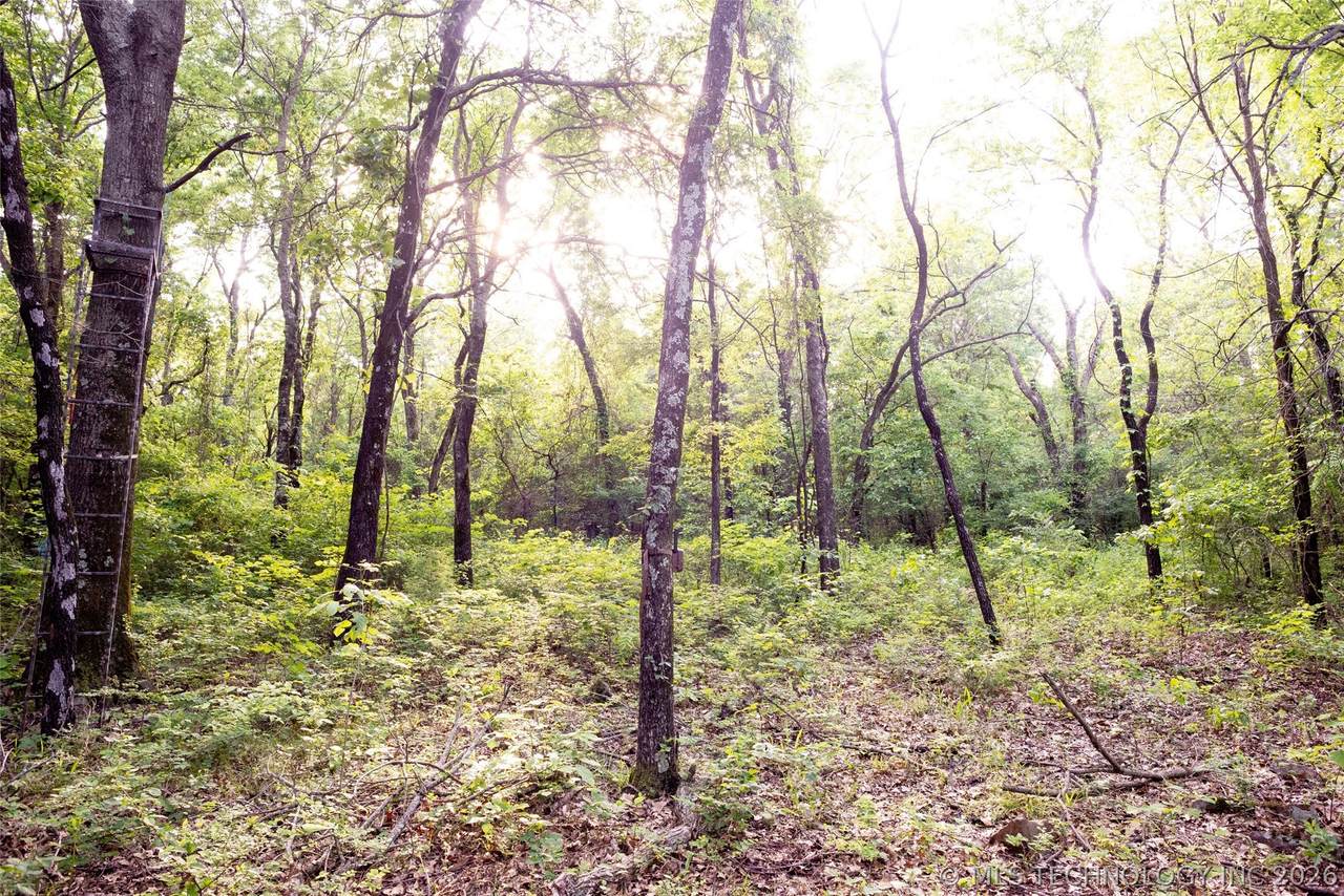 https://bt-photos.global.ssl.fastly.net/tulsa/1280_boomver_1_2608700-2.jpg