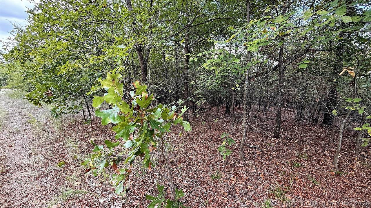 2 4531 Road - Photo 1