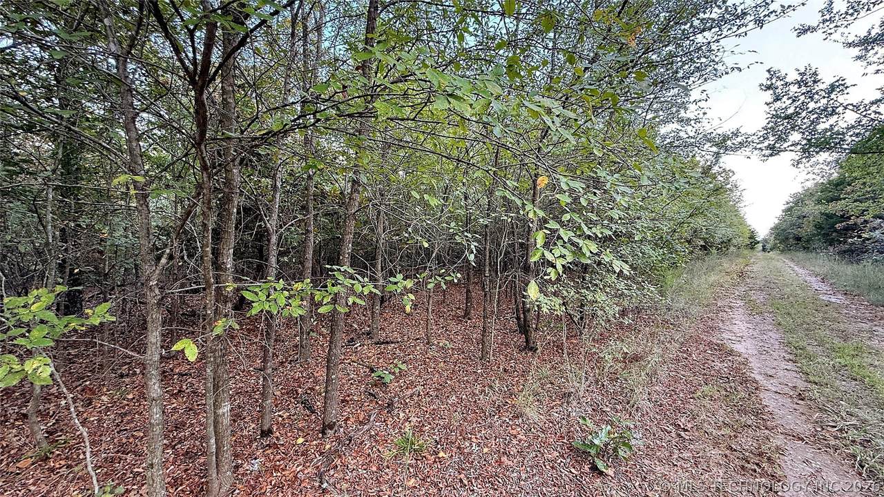 https://bt-photos.global.ssl.fastly.net/tulsa/1280_boomver_1_2609602-2.jpg