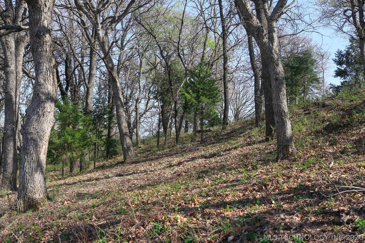 https://bt-photos.global.ssl.fastly.net/tulsa/1280_boomver_1_2611070-2.jpg