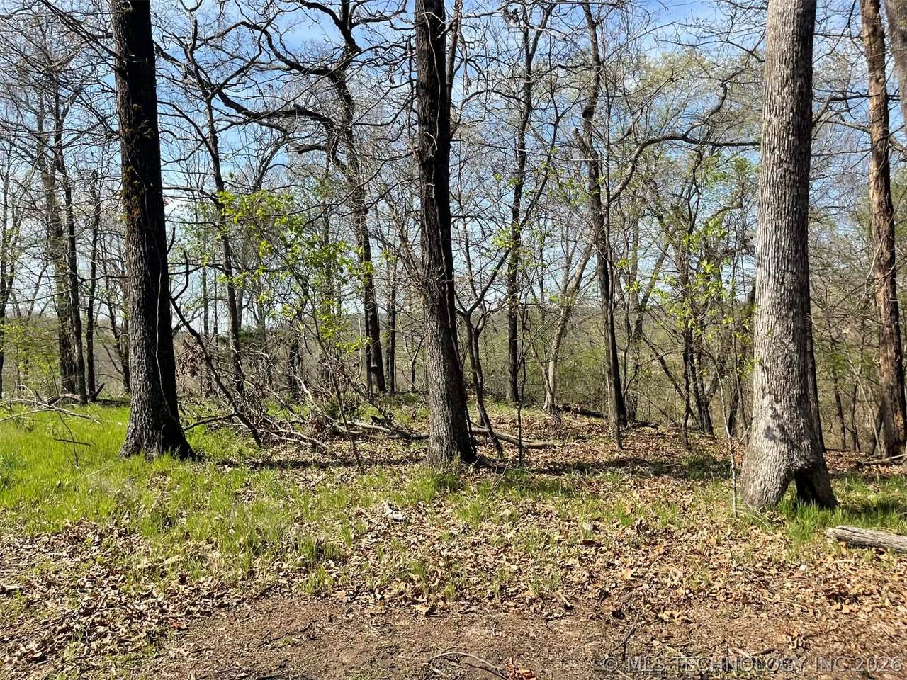 111 Lakewood Drive - Photo 1