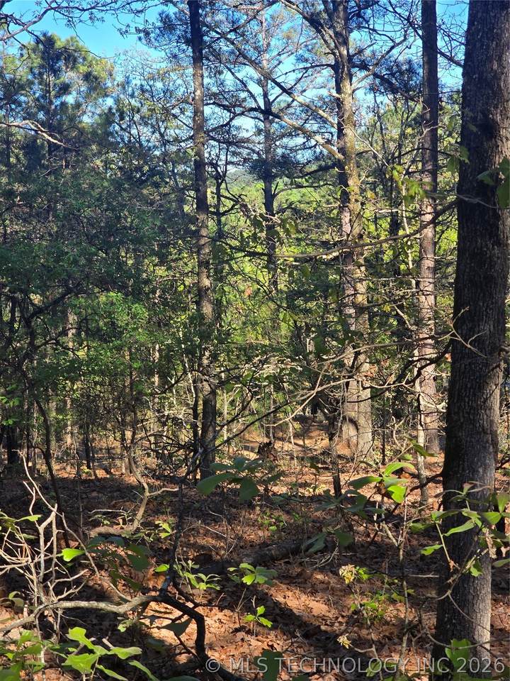  Wolf Trail - Photo 1