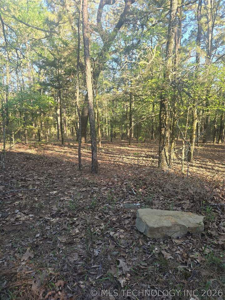 43 Buck Creek - Photo 1