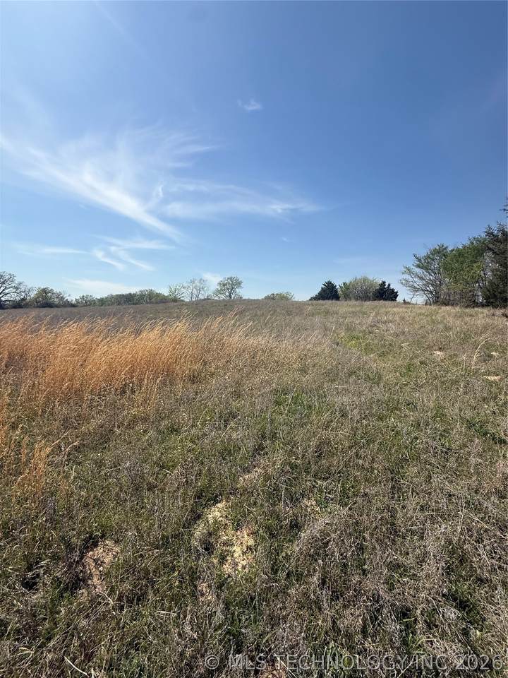2427 Dickson Rd Road - Photo 1