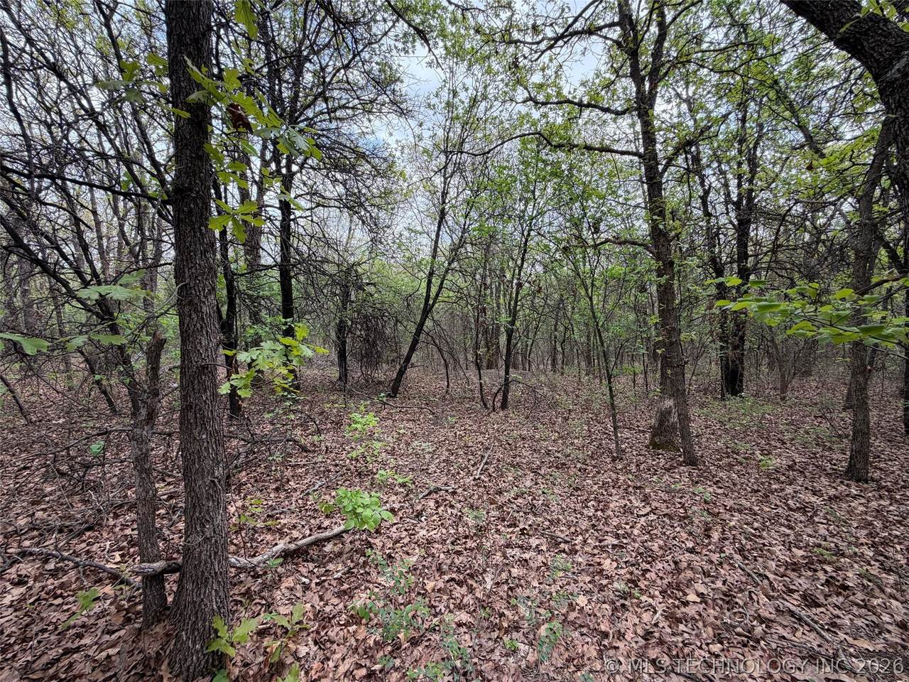 https://bt-photos.global.ssl.fastly.net/tulsa/1280_boomver_1_2613444-2.jpg