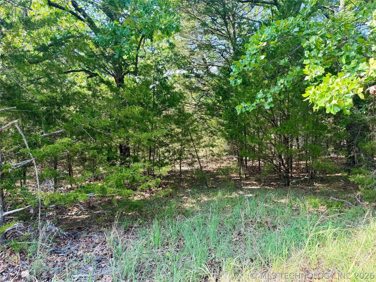 17 Council Tree Drive - Photo 1