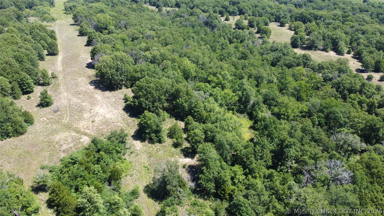  Hwy 48 - Photo 1