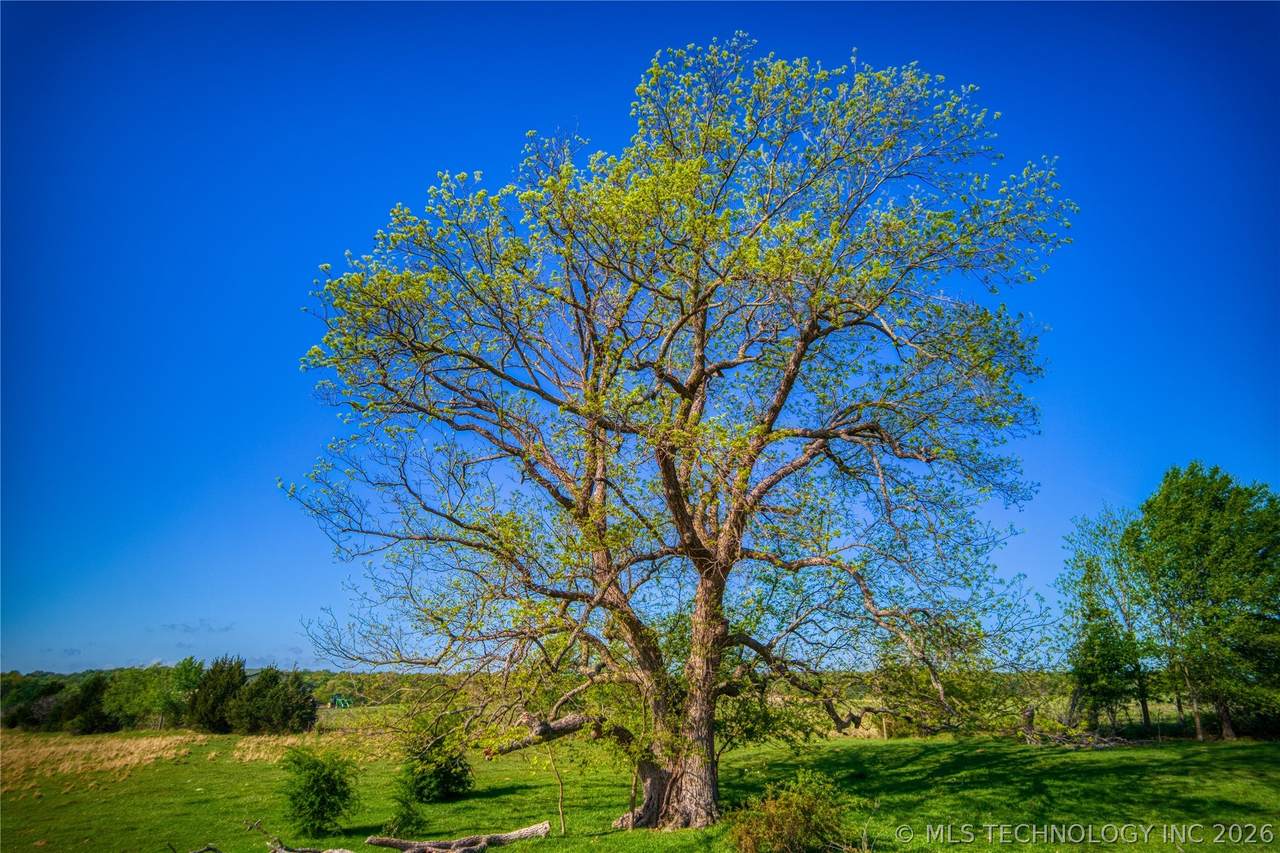 https://bt-photos.global.ssl.fastly.net/tulsa/1280_boomver_1_2614220-2.jpg