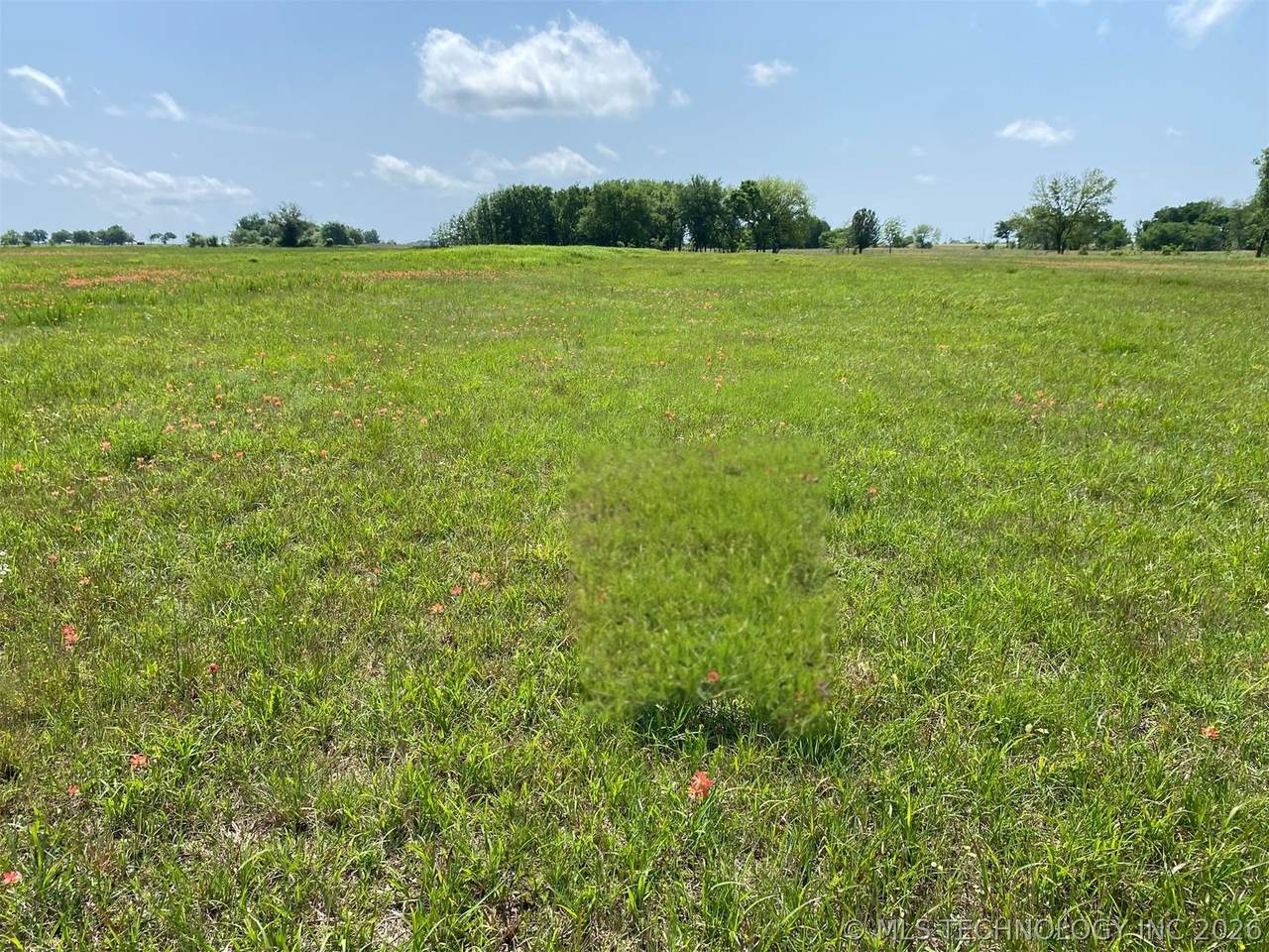 7752 Homestead Drive - Photo 1