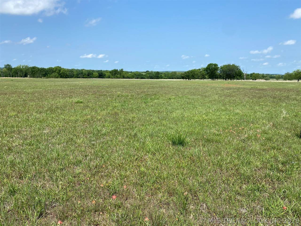 7828 Homestead Drive - Photo 1