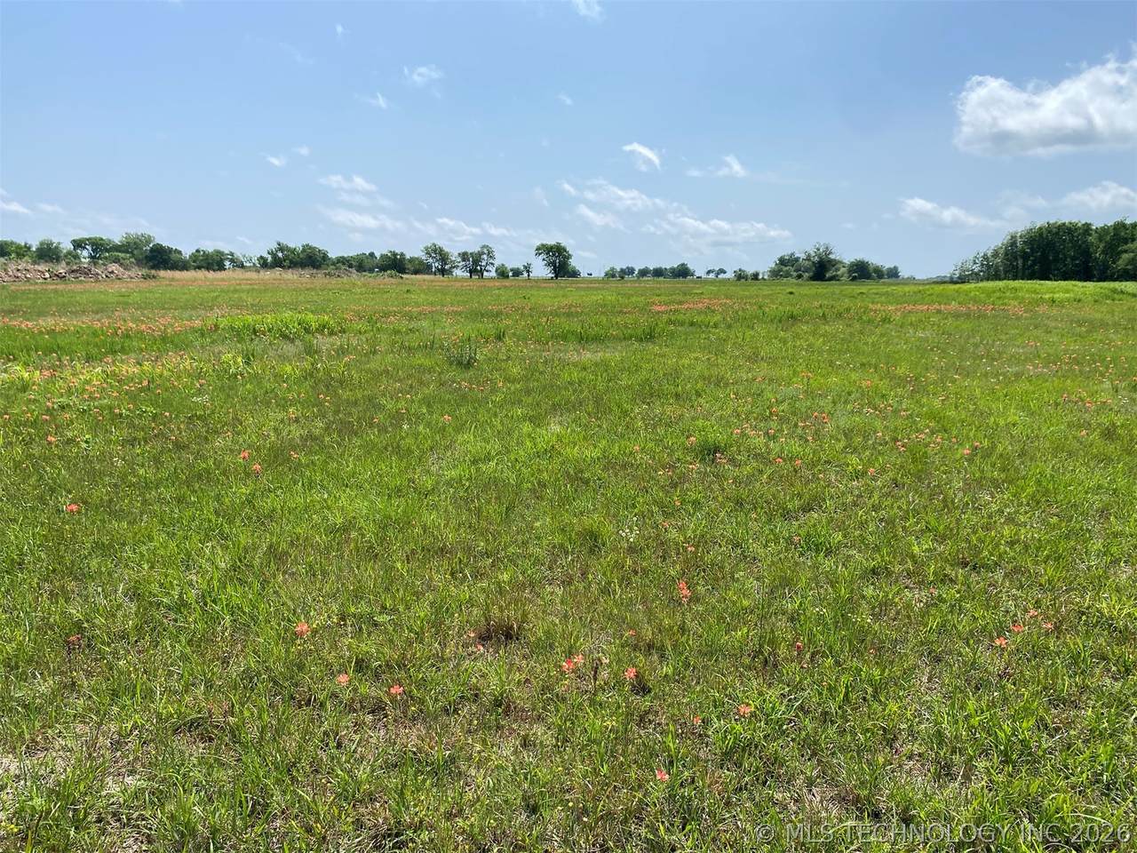 7866 Homestead Drive - Photo 1