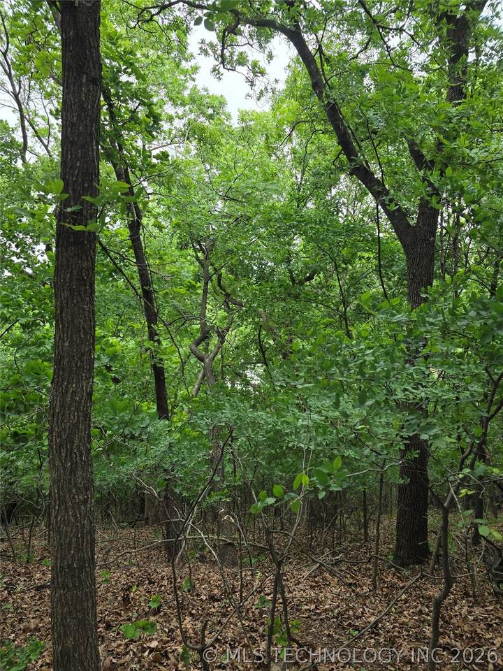 https://bt-photos.global.ssl.fastly.net/tulsa/1280_boomver_1_2616393-2.jpg