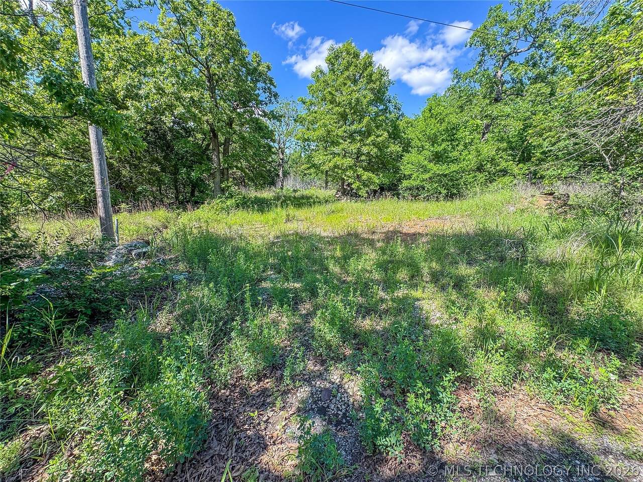 17181920 Hutson Street - Photo 1