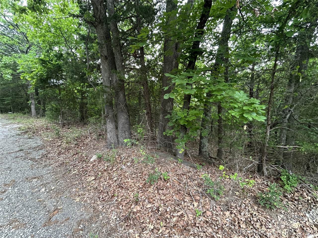 13 Arroyo Drive - Photo 1