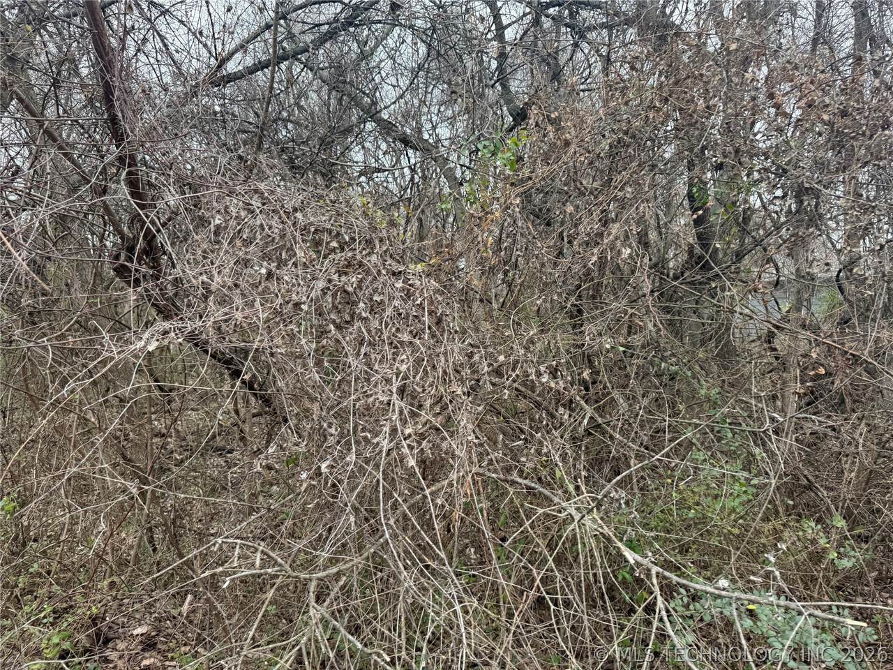 1697 20th Street - Photo 1