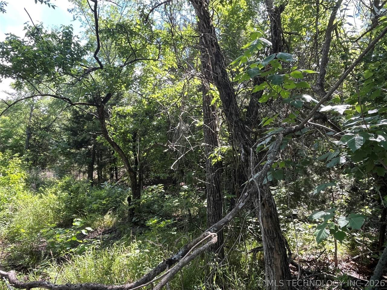 https://bt-photos.global.ssl.fastly.net/tulsa/1280_boomver_1_2616864-2.jpg