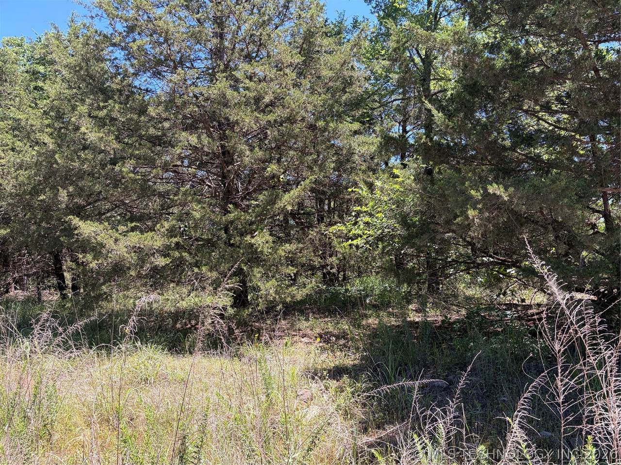  John's Valley Road - Photo 1