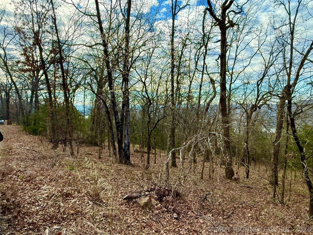  Sugar Mountain Circle - Photo 1