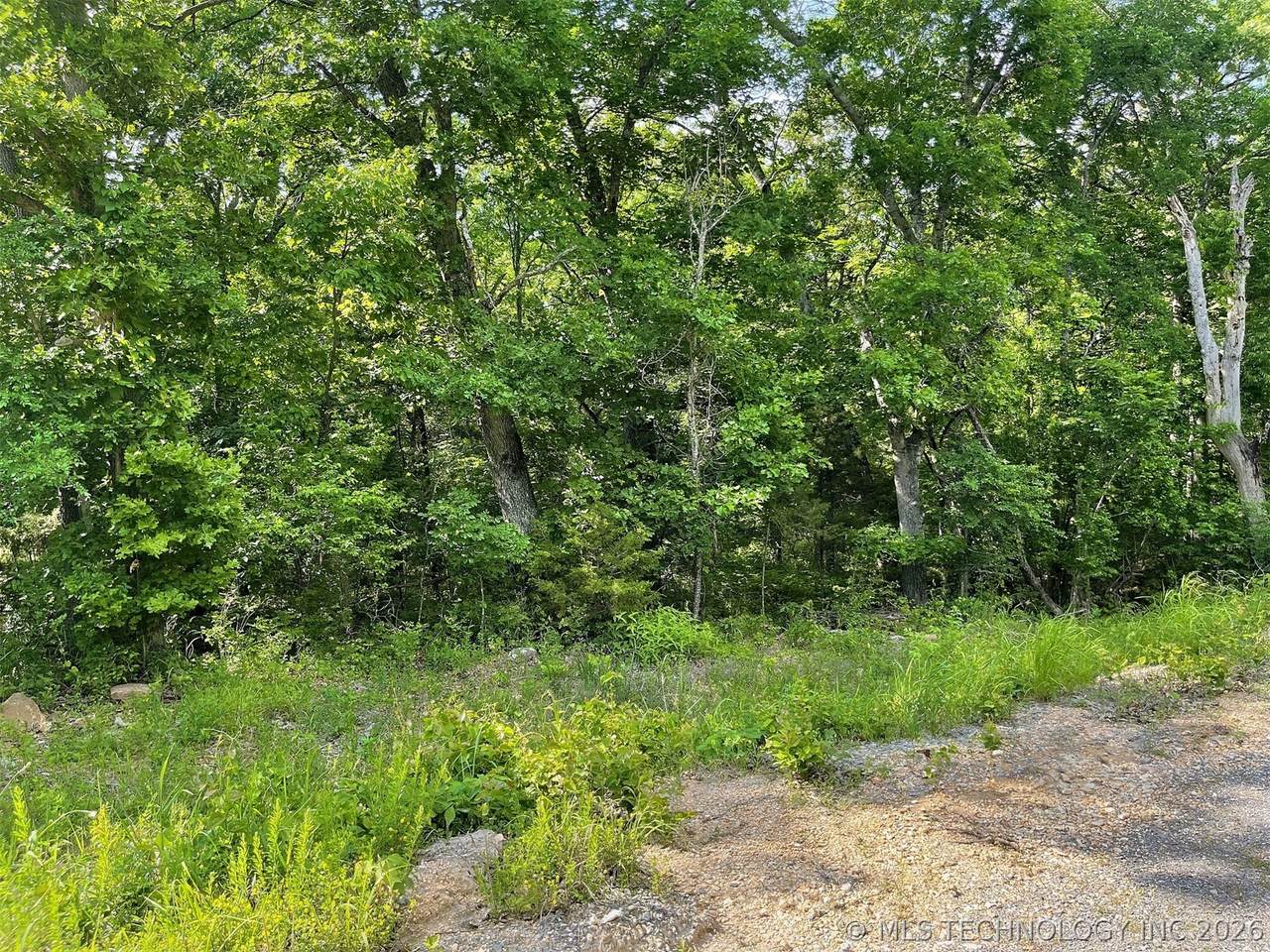  Hickory Lane - Photo 1