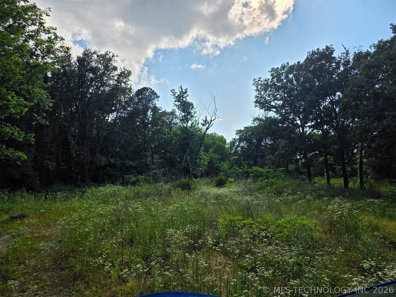 8111 449 Road - Photo 1
