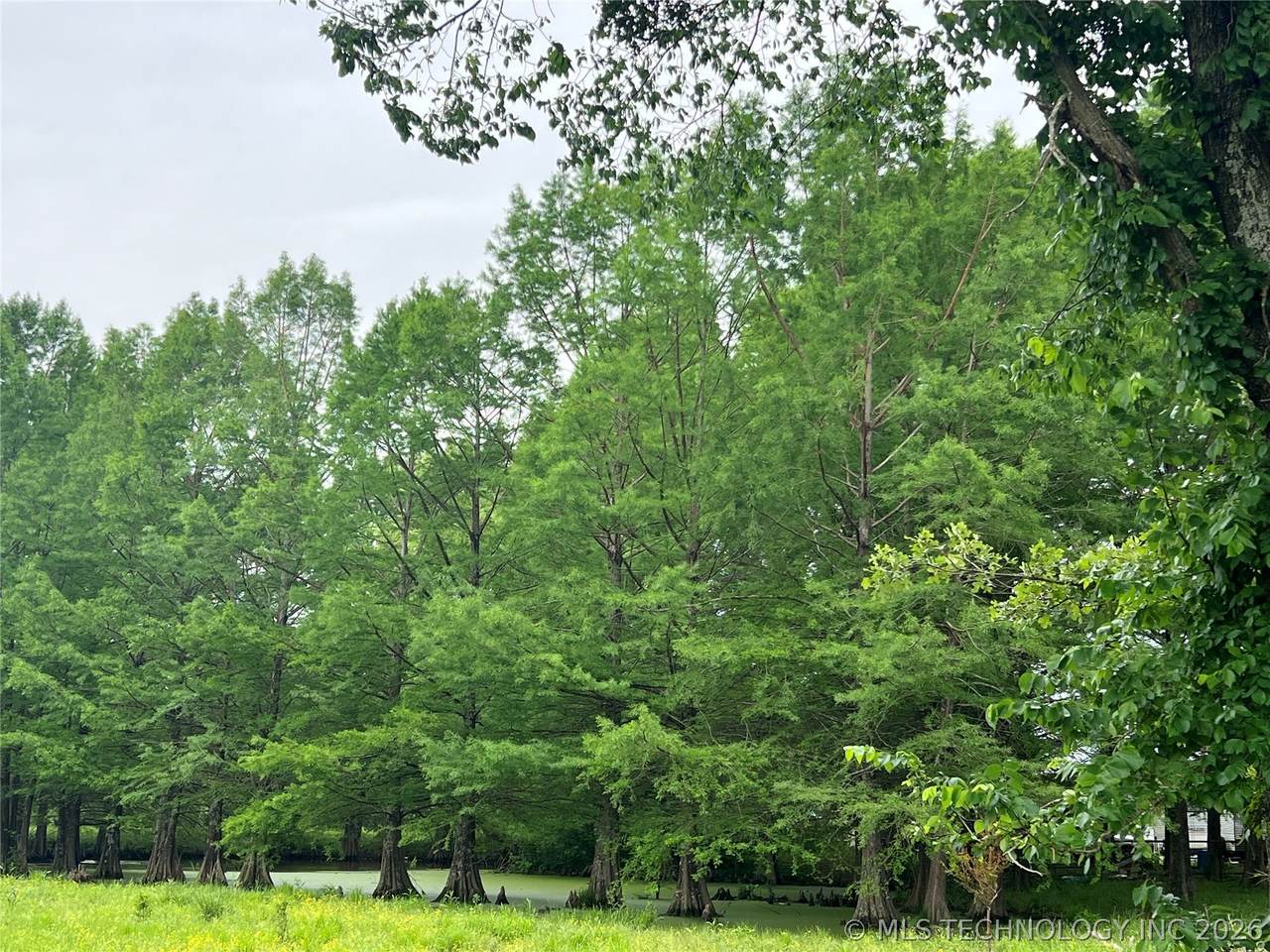 Hwy 70 A - Photo 1