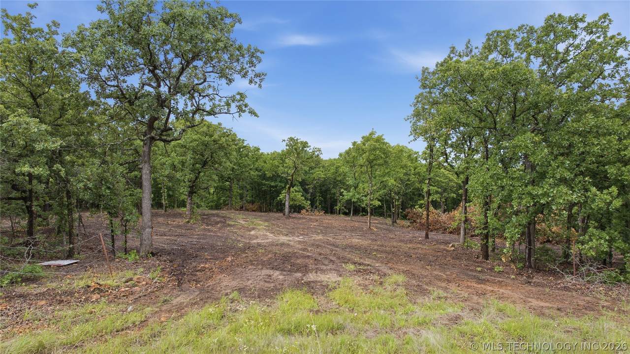 16601 New Prue Road - Photo 1