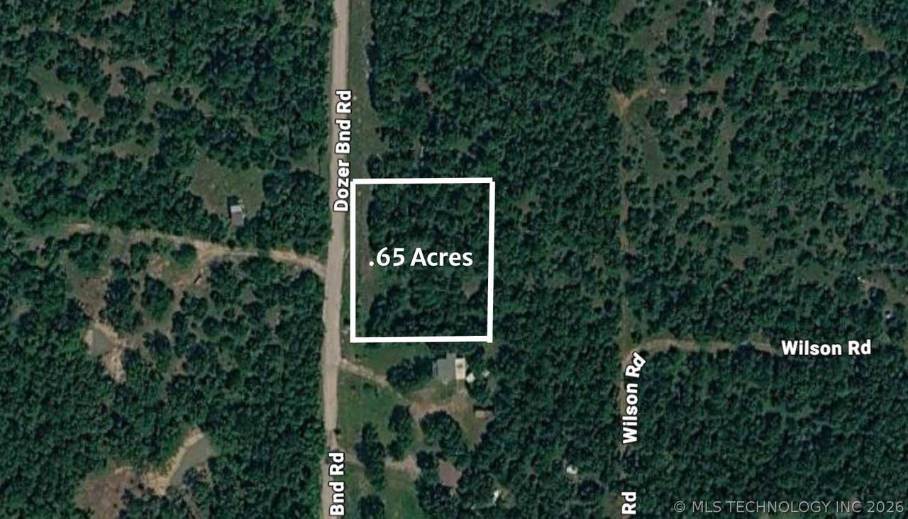 19 Dozer Bend Road - Photo 1