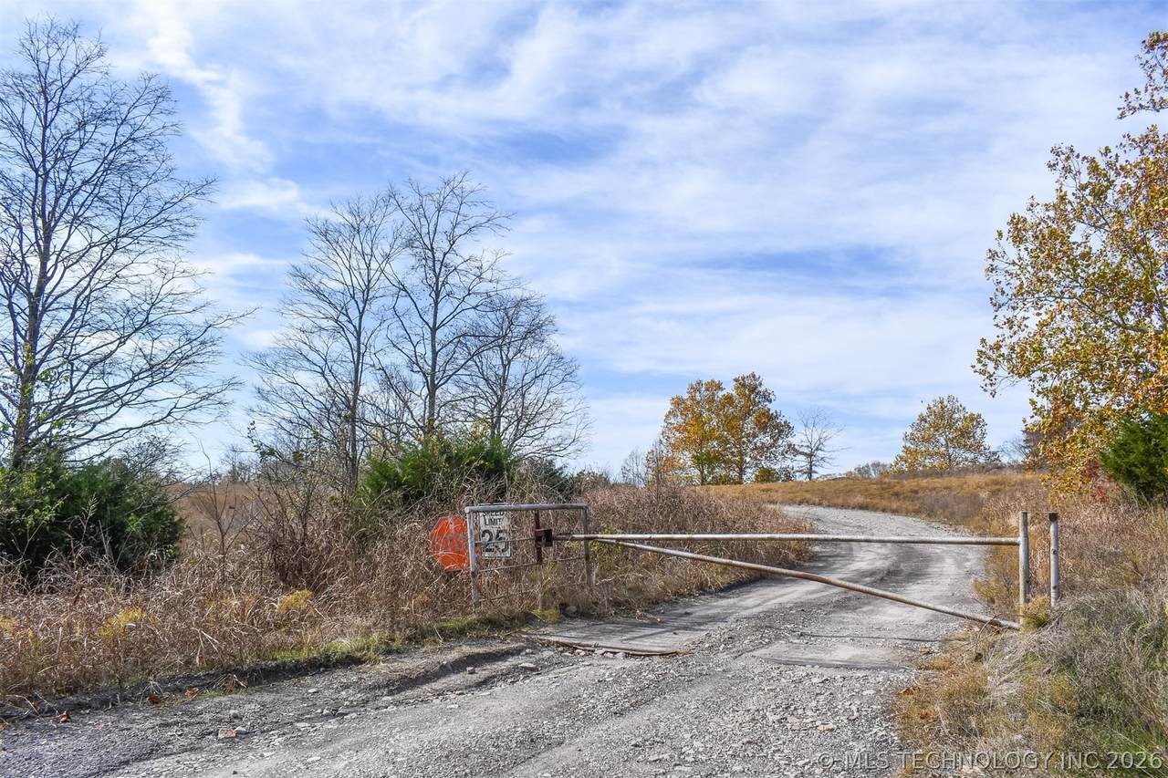  Tamaha - Photo 1