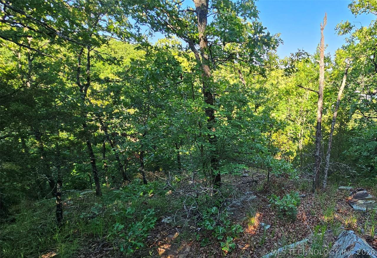 9 Mountain View - Photo 1